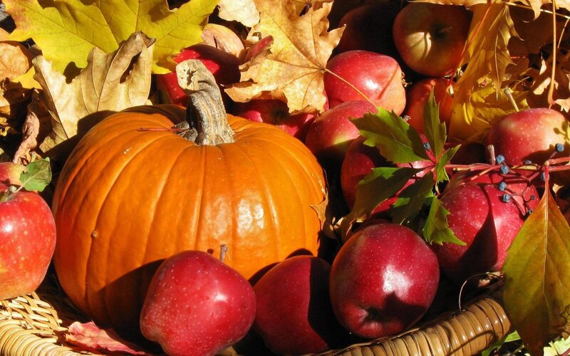 Pumpkin and Apples