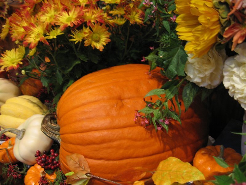 Pumpkin and autumn flowers