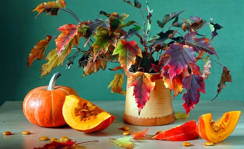 Pumpkin and Autumn Leaves — Orange, Calm