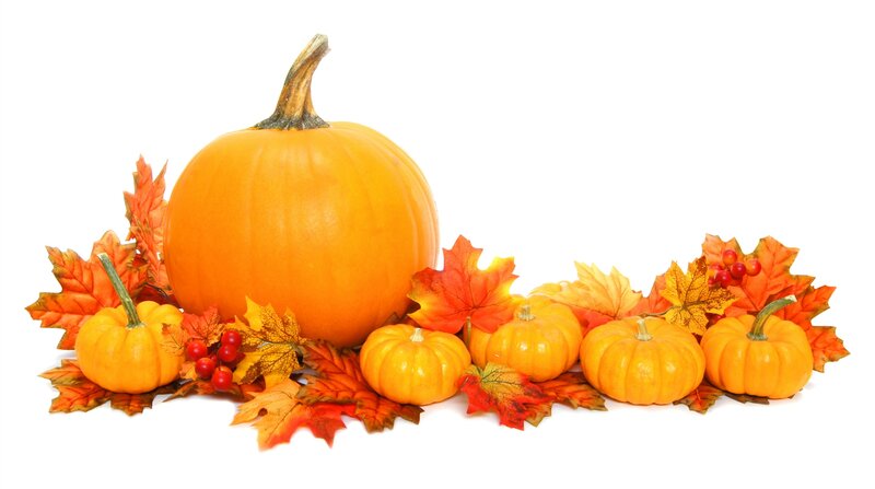 Pumpkin and Autumn Leaves — Orange, Festive