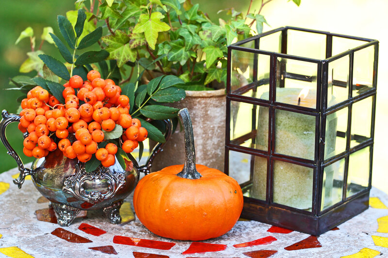 Pumpkin and Berries in Vase