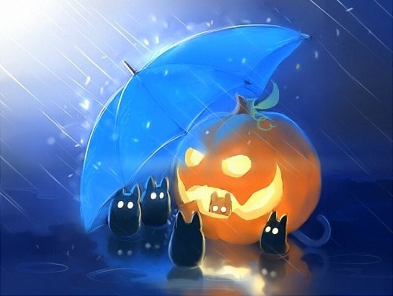 Pumpkin and Cats in Rain