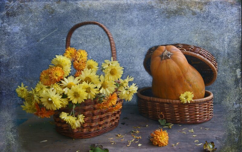 Pumpkin and Chrysanthemums — Yellow