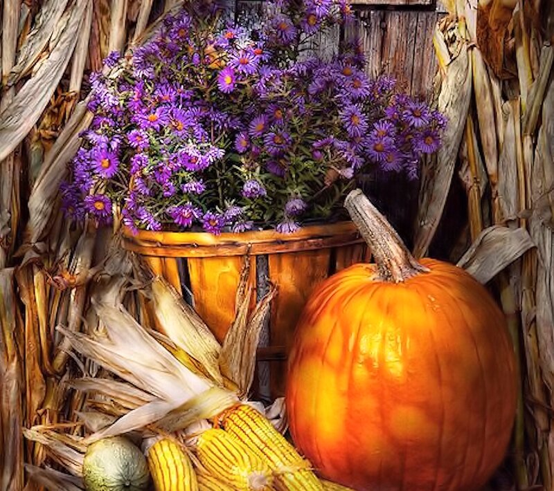 Pumpkin and Corn Arrangement