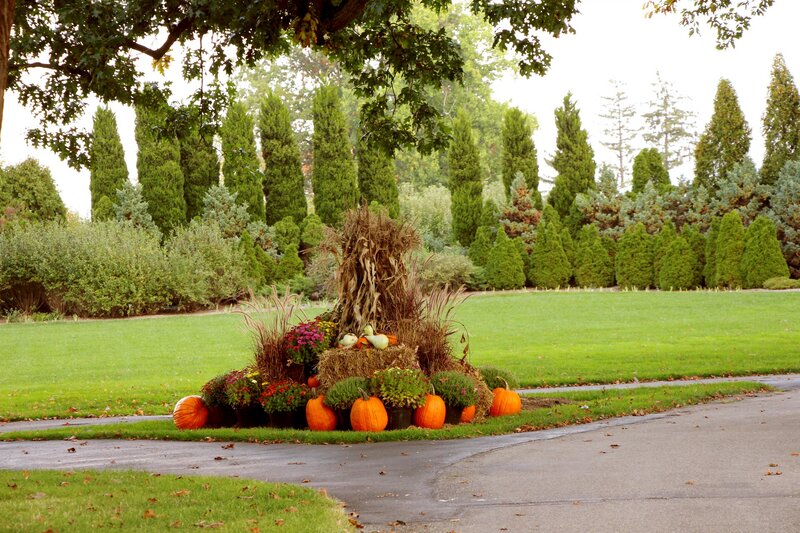 Pumpkin and Corn Display — Green