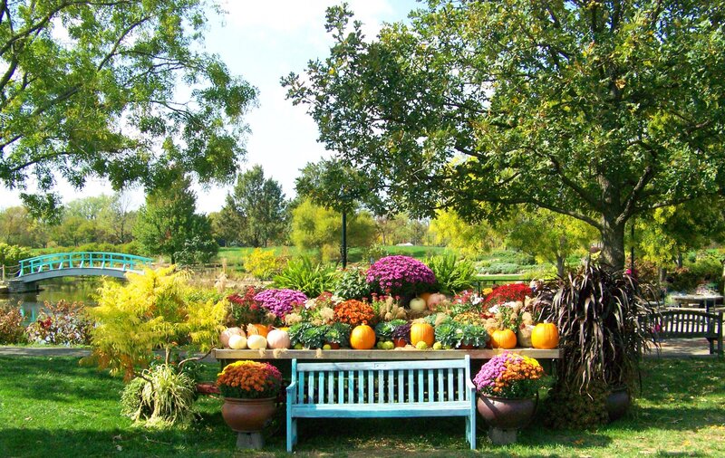 Pumpkin and Flower Display