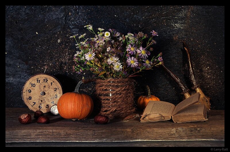 Pumpkin and Flowers — Brown
