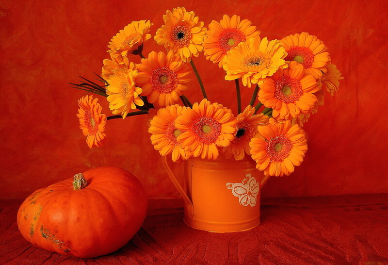Pumpkin and Flowers — Orange