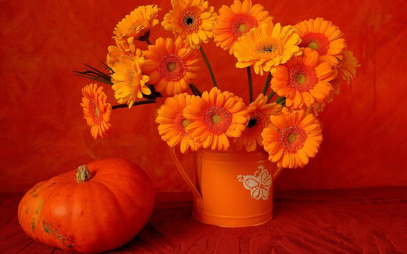 Pumpkin and Flowers — Orange, Warm, Autumn
