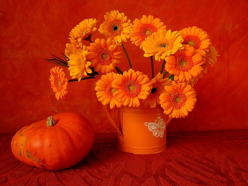 Pumpkin and Flowers — Orange, Warm