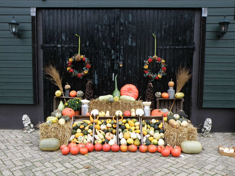 Pumpkin and Gourd Display