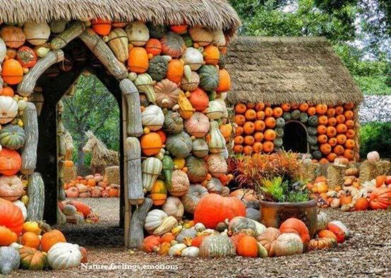 Pumpkin and Gourd Structures