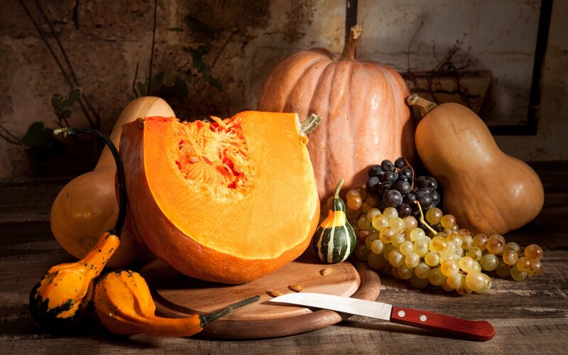 Pumpkin and Gourds — Orange, Dramatic