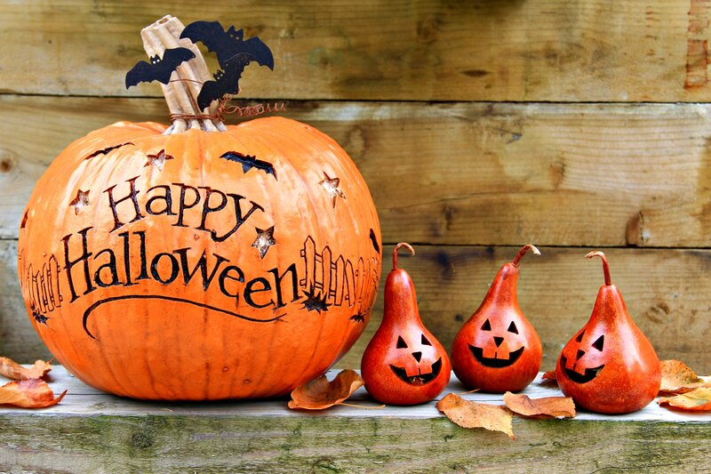 Pumpkin and Gourds — Orange