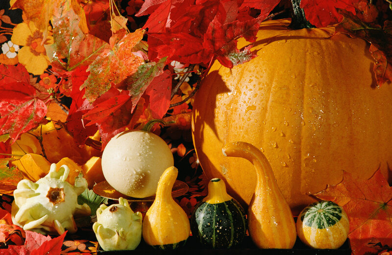 Pumpkin and Gourds