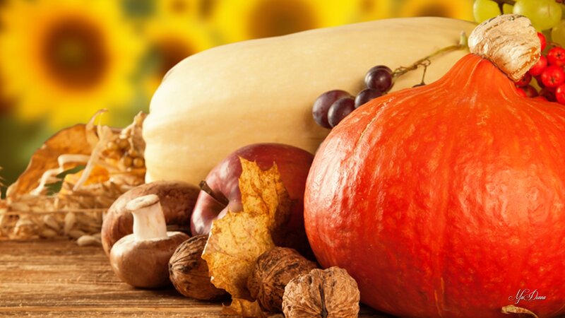 Pumpkin and Harvest Items