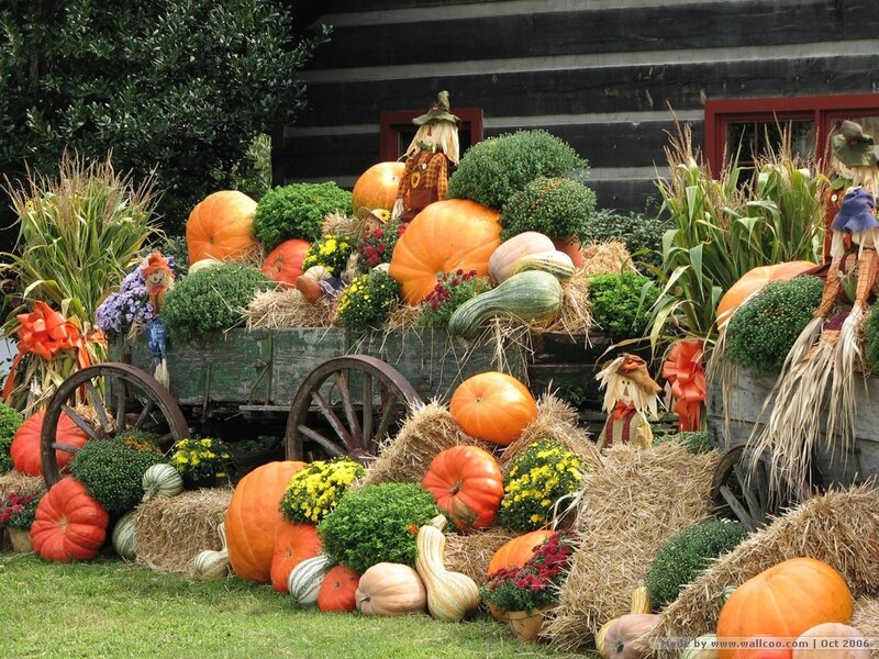Pumpkin and Hay Display