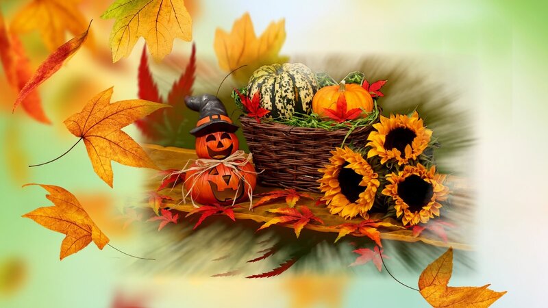 Pumpkin and Sunflowers