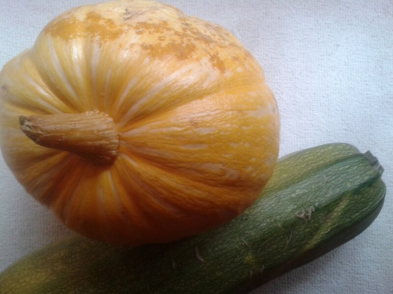 Pumpkin and Zucchini