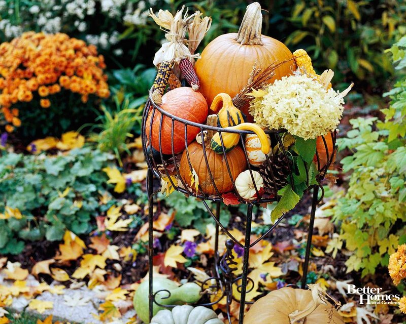 Pumpkin Arrangement in Basket