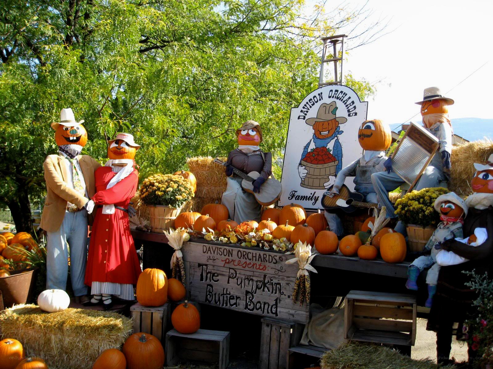 Pumpkin band display at Davison Orchards