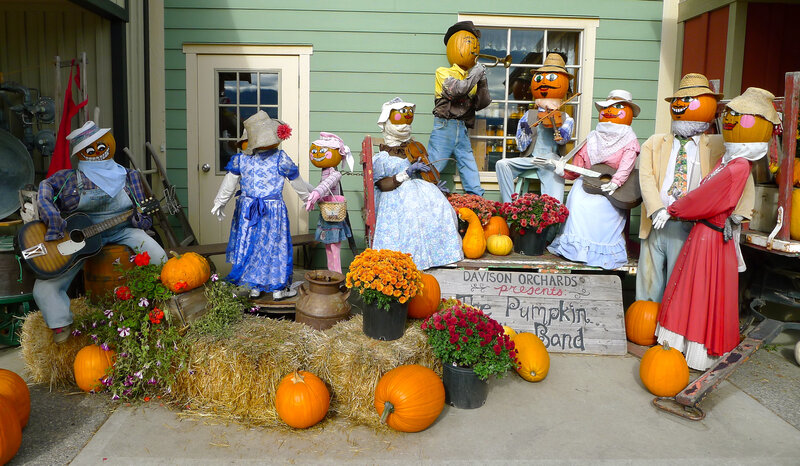 Pumpkin Band Display