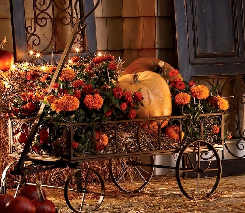 Pumpkin Cart Display — Orange, Cozy