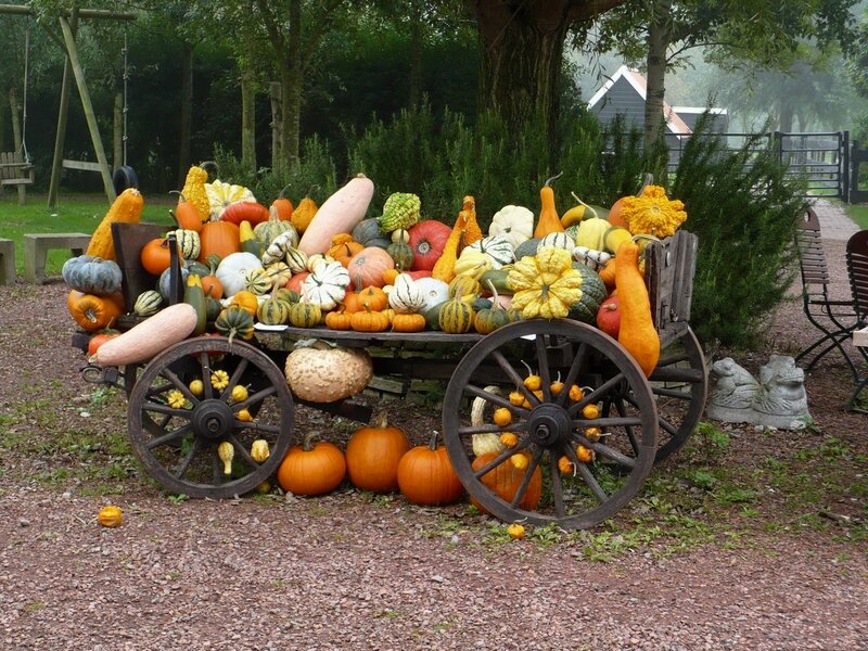 Pumpkin Cart Display — Orange