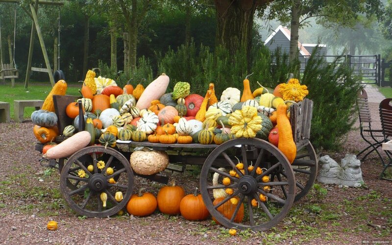 Pumpkin Cart Display