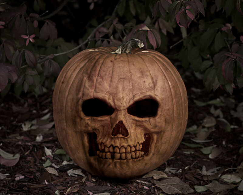 Pumpkin Carved as Skull — Brown