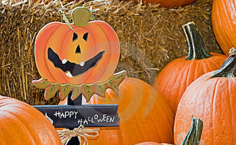 Pumpkin Decoration Display