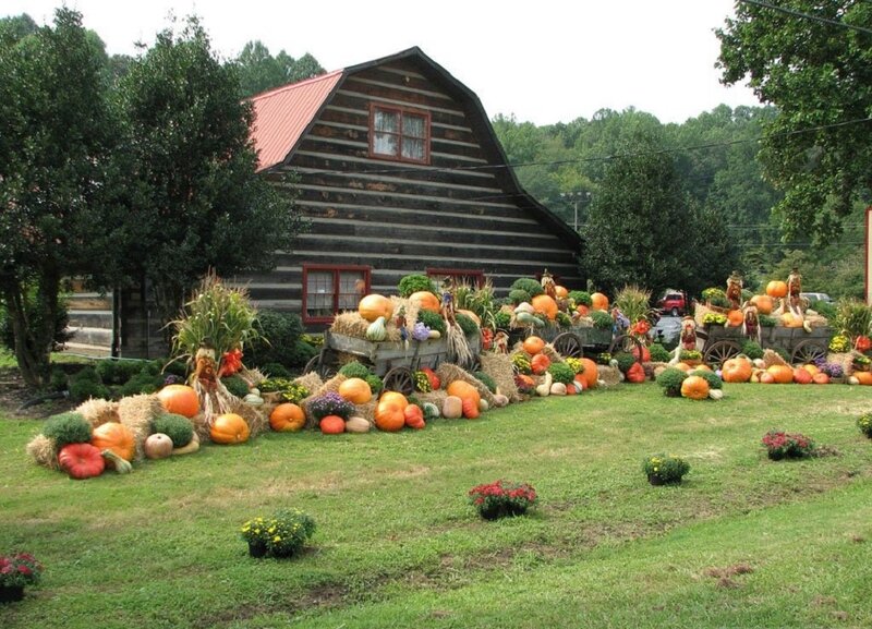 Pumpkin Display at Barn — Green