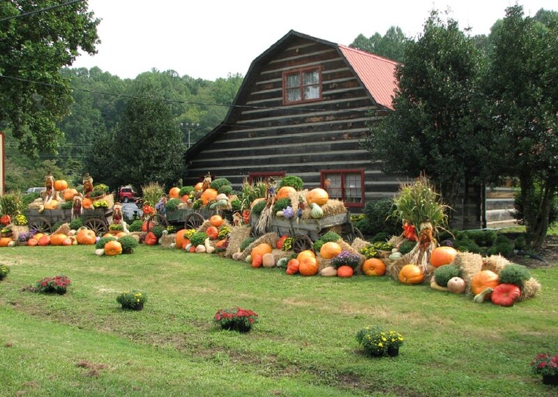 Pumpkin Display at Barn