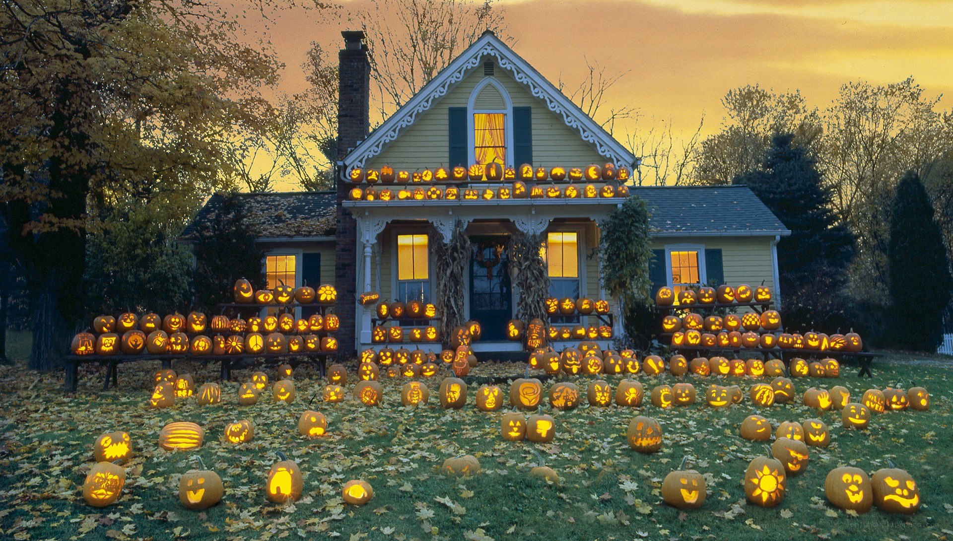 Pumpkin display at Halloween