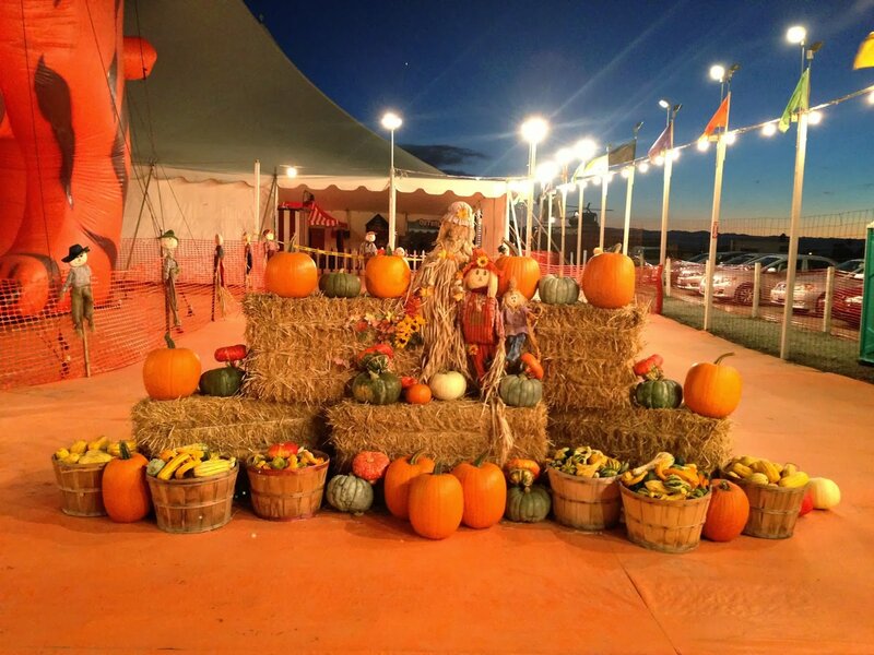 Pumpkin Display at Night — Orange, Festive