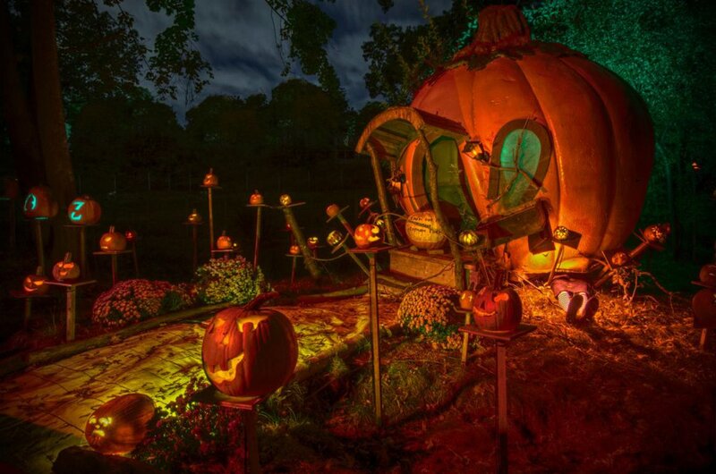 Pumpkin Display at Night — Orange