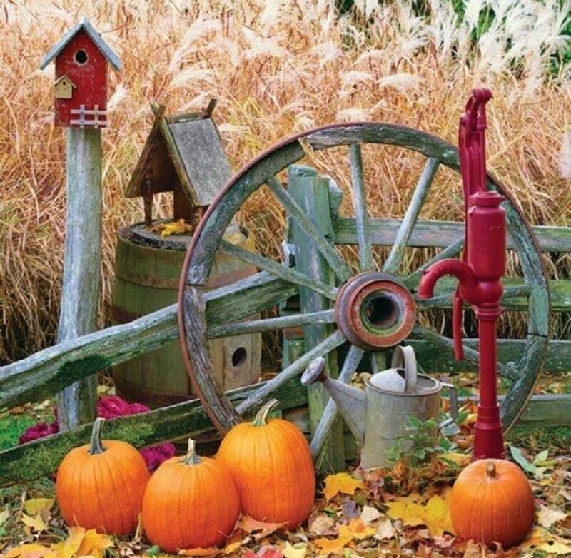 Pumpkin Display in Garden — Orange, Rustic