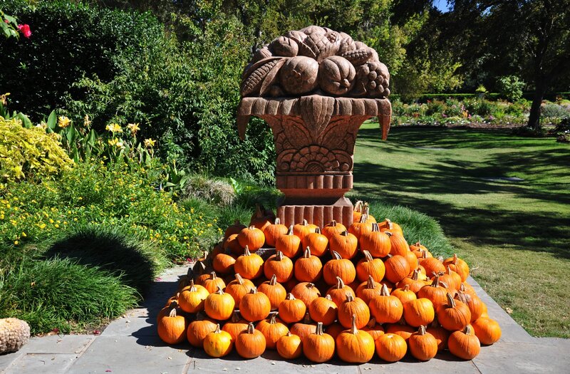 Pumpkin Display in Garden
