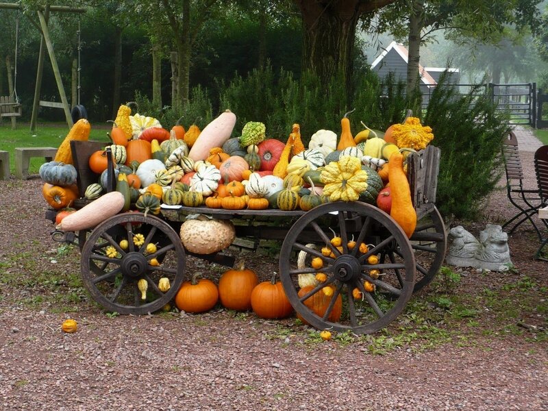 Pumpkin display on a cart