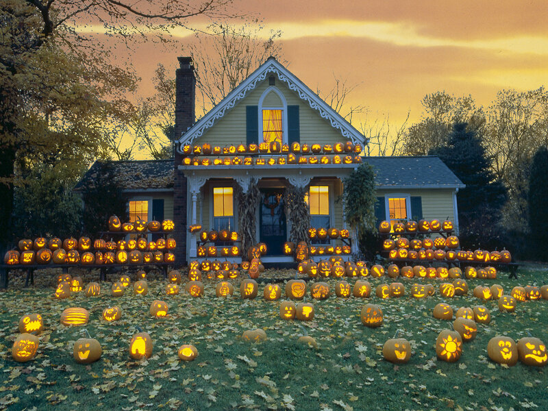 Pumpkin Display on Lawn