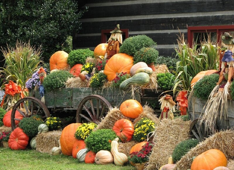 Pumpkin Display on Wagon — Orange