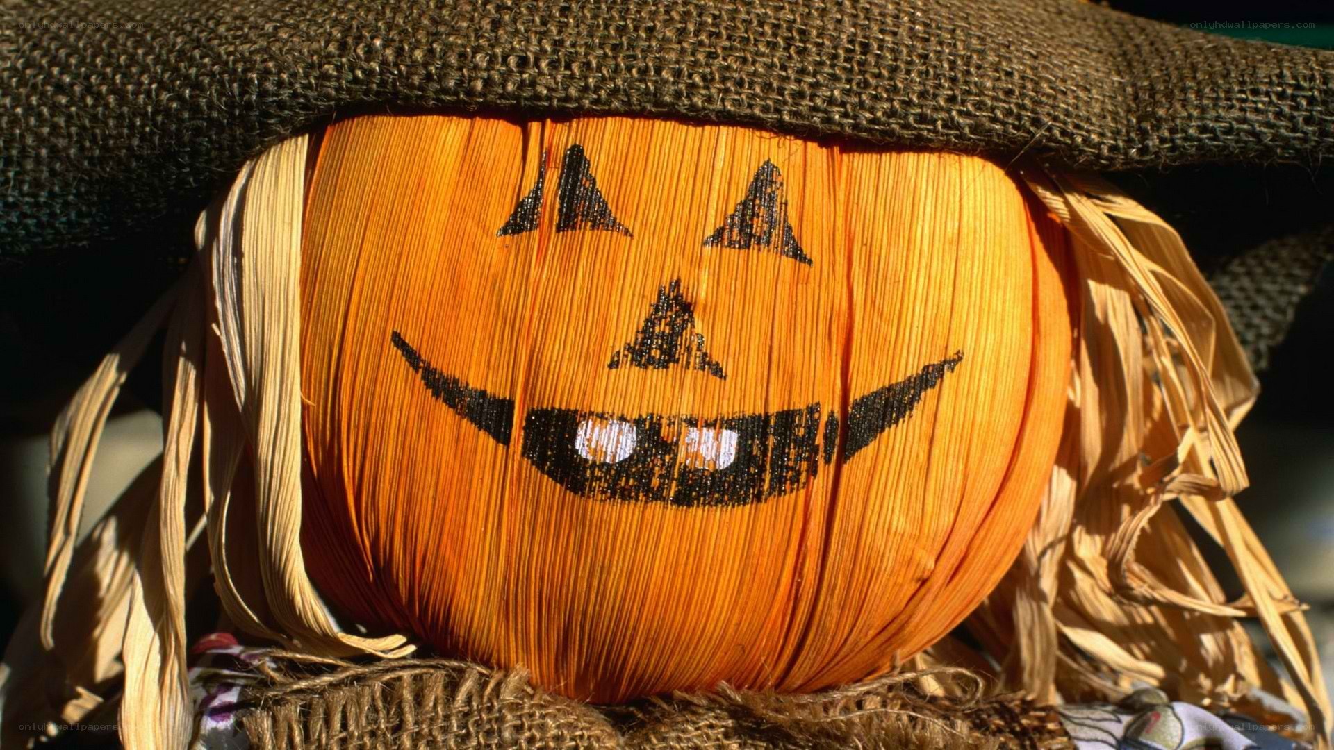 pumpkin-faced scarecrow