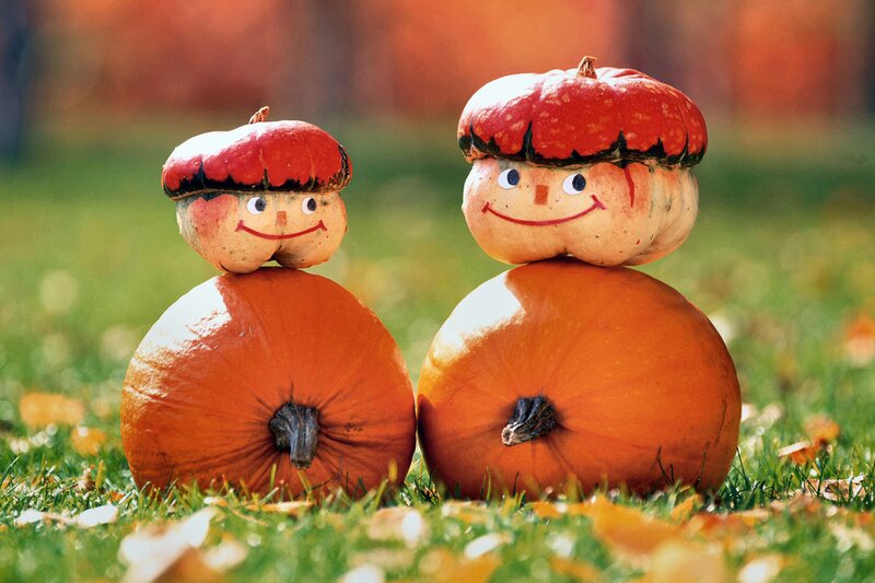 Pumpkin Figures on Grass