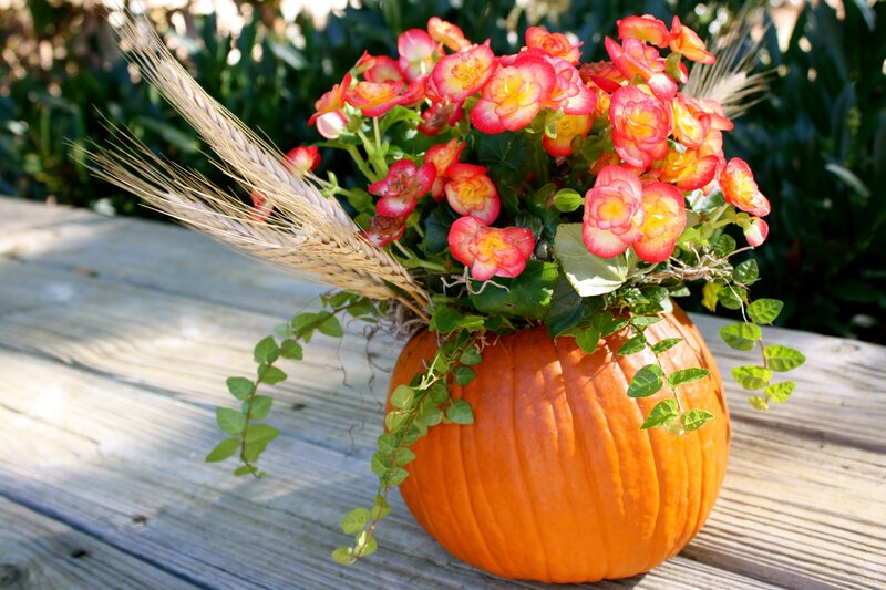 Pumpkin Flower Arrangement — Orange, Autumnal