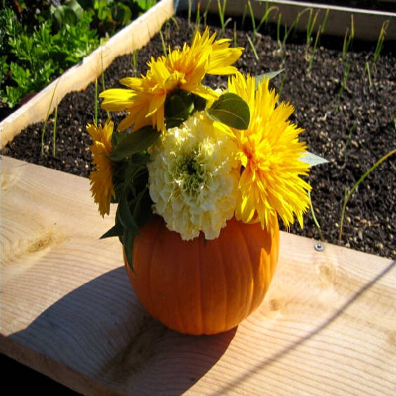 Pumpkin Flower Arrangement