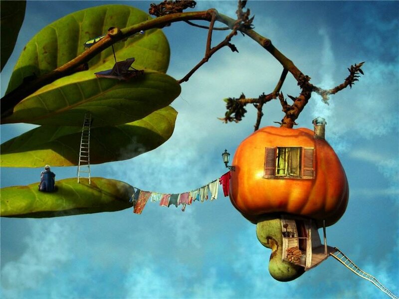 Pumpkin House on Branch