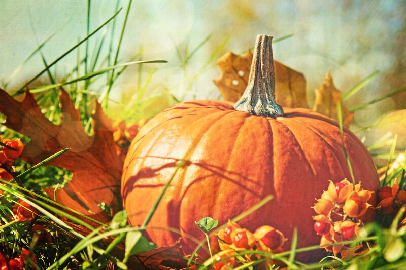 Pumpkin in Autumn Grass