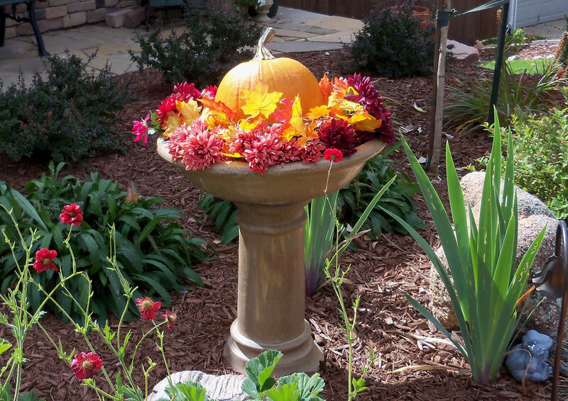 Pumpkin in Birdbath