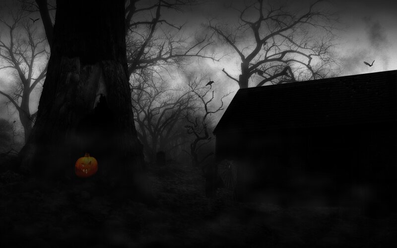 Pumpkin in Dark Forest