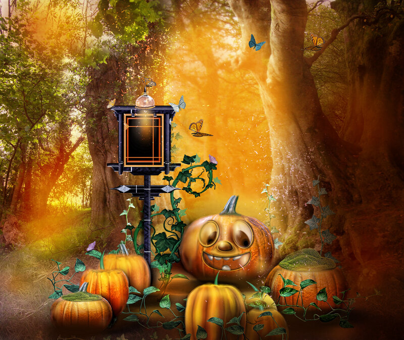 Pumpkin in Forest